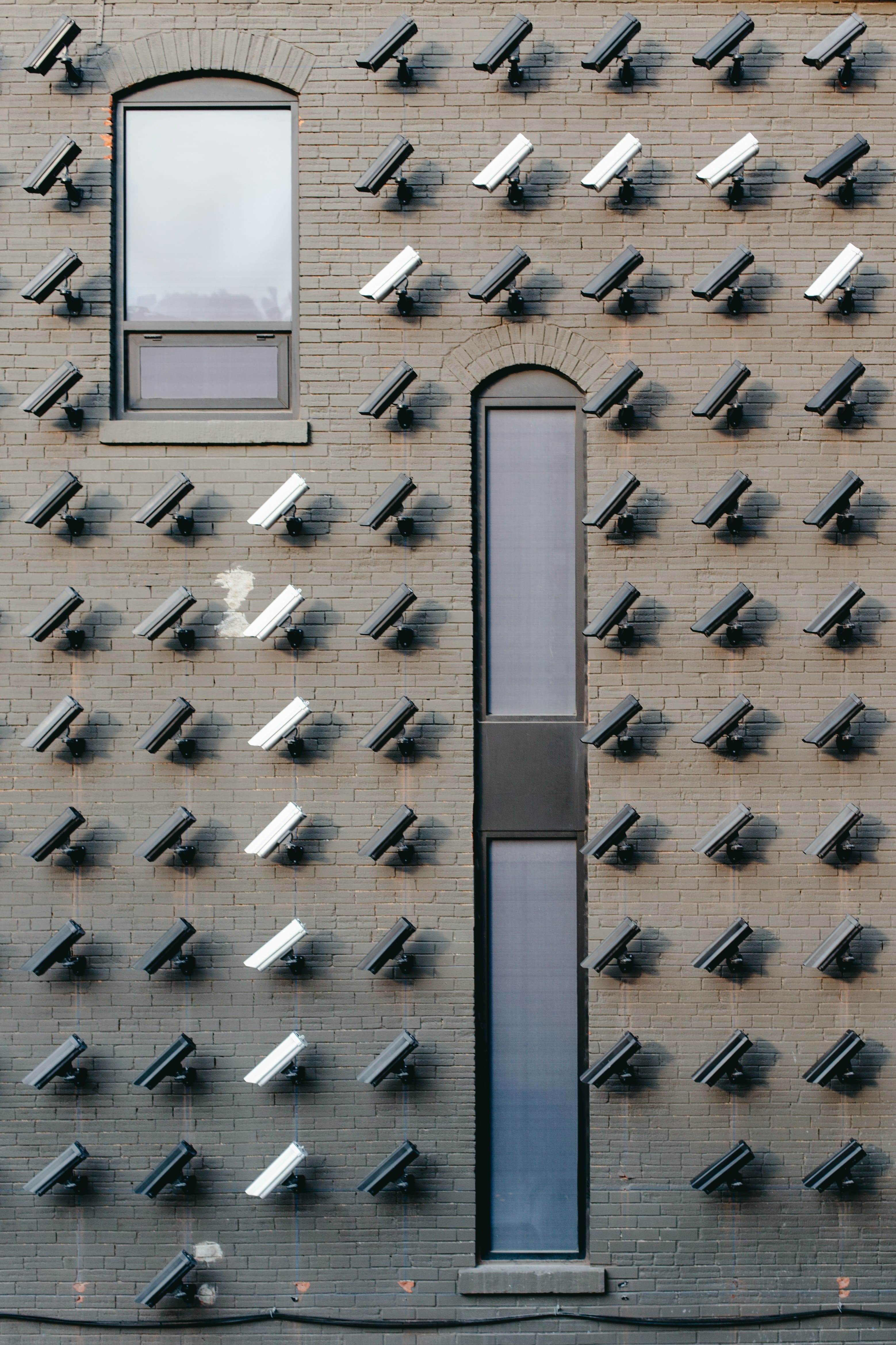 cameras